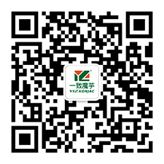 未標題-1.jpg